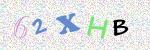 verify image